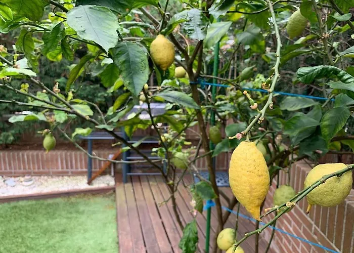 Διαμέρισμα Apto Con Patio Parking Gratuito Anselmo Solar