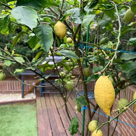 Apartment Apto Con Patio Parking Gratuito Anselmo Solar